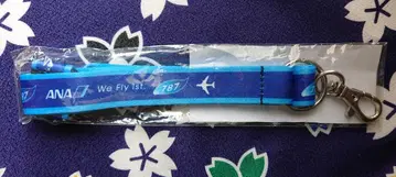 ANA 넥스트랩 We Fly 1st 787 Boeing-787