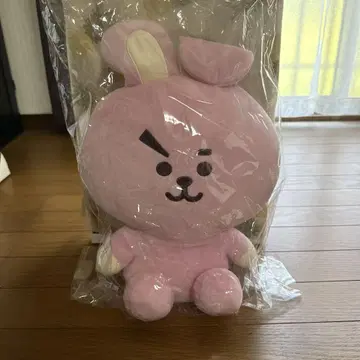 COOKY 정국 봉제 인형