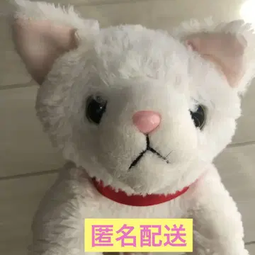 고양이 낳아버렸다