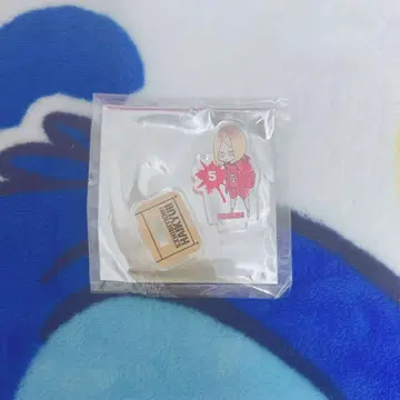 하이큐 연마