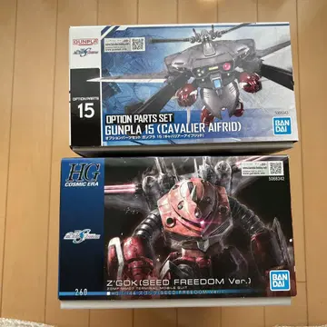 HG Z'GOK (SEED FREEDOM Ver.) & GUNPLA 15