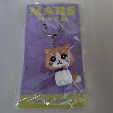 [즉시 구매] 후지와라 이츠키 Mars 키링