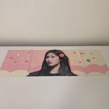 TWICE 모모 슬로건