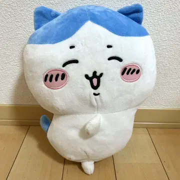 치이카와 약 30cm