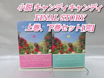 소설 캔디캔디 FINAL STORY 상권, 하권 세트[완] S01