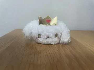 JOCHUM RURU 머리끈 JO1 시로이와 루키