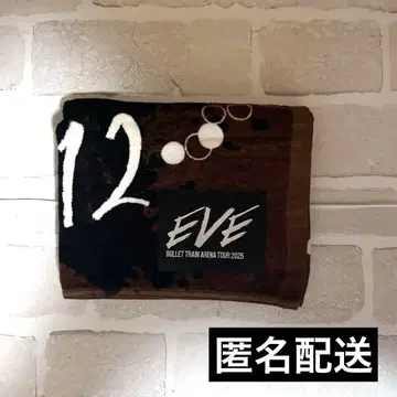 초특급 마사히로 EVE 타월