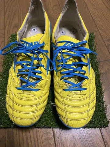 모렐리아 네오 Morelia neo