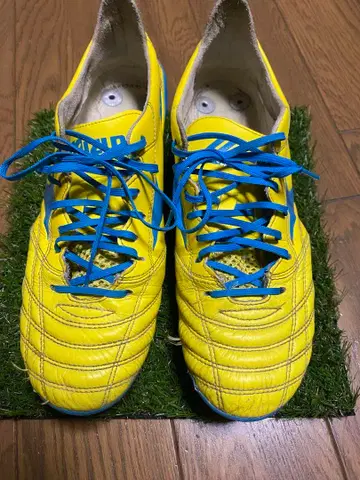 모렐리아 네오 Morelia neo