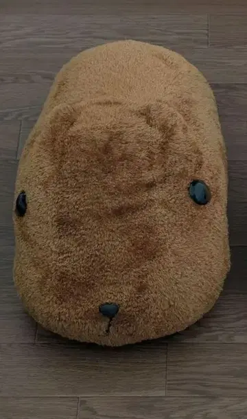 카피바라 씨 봉제 인형 40cm