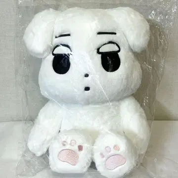 aespa 윈터 40cm 봉제 인형 마스터 직직이