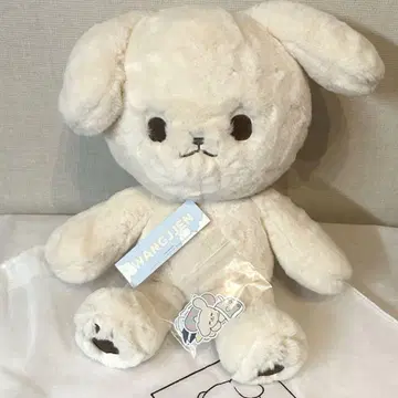 레어템 nct dream 제노 40cm 봉제 인형 마스터
