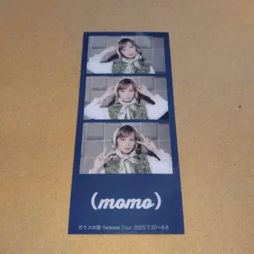 (momo) 모모코구미 컴퍼니 포토 그레이 카드