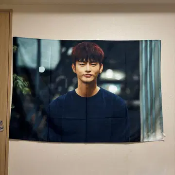 서인국 태피스트리 100 150cm