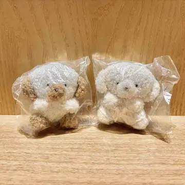 죠세마루 가챠 라테 오빤쓰