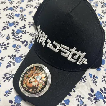 포켓몬 센터 한정판 파괴광선 캡