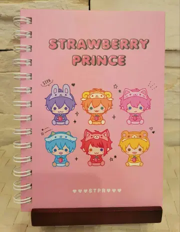 스토푸리 링 노트 STPR