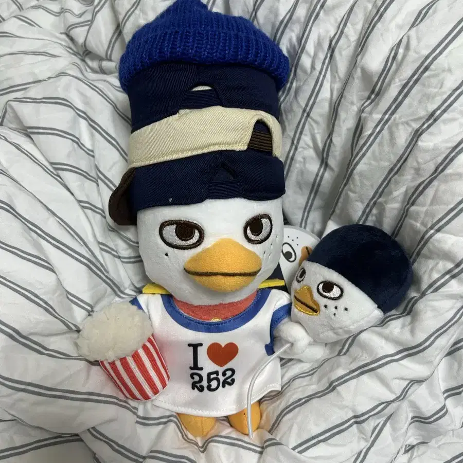 RIIZE ソヒ ぬいぐるみ 마이베이비엔젤이또리 マイベイビーエンジェル RIIZE | 라이즈 Riize sohee My Baby Angel Itori WTS #라이즈