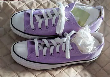 [새상품 미착용] CONVERSE ALL STAR 로우컷 스니커즈