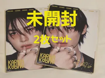 StrayKids 스키즈 KARMA Accordion ver. 리노