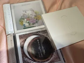 요루시카 앨범 묶음 판매 일반ver 오비 포함