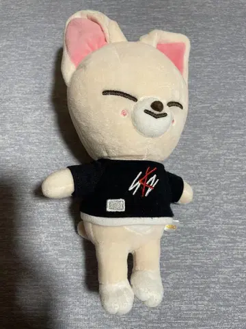 JYP 스키즈 폭시니
