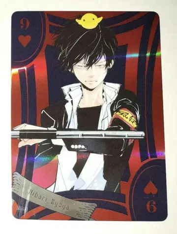 리본 히바리 쿄야 오로라 카드놀이 아마노 아키라 전시회