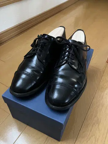 SANDERS 밀리터리 더비 UK7