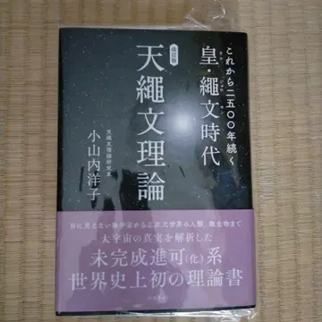 개정판 지금부터 2500년 이어지는 황 시대 천이론