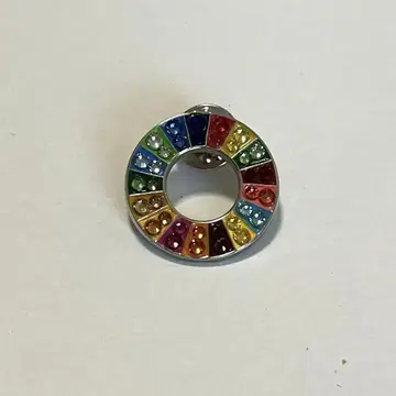 SDGs 배지 스와로브스키 핀 배지