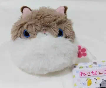 네코당고 랙돌