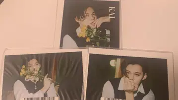 초특급 카이 키라리 2023년 11월 C상