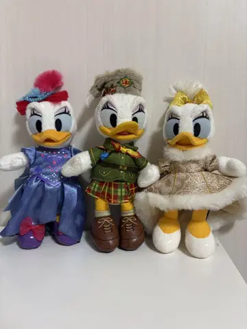 데이지/인형 배지 세트