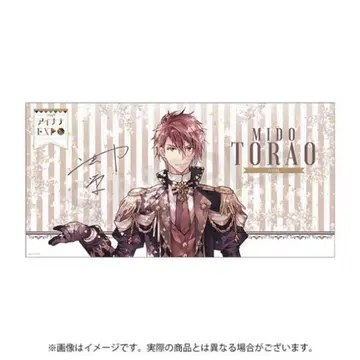 아이돌리시 세븐 아이나나 EXPO 빅 타월 미도 토라오