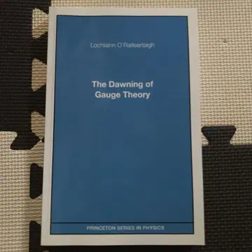 The Dawning of Gauge Theory