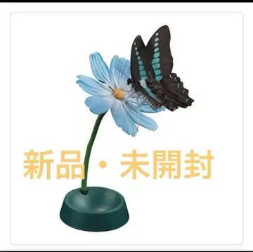 생물대도감 어드밴스 호랑나비 청띠제비나비