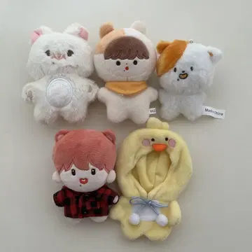 nctdream 지성 다님 포케치 봉제 인형 세트