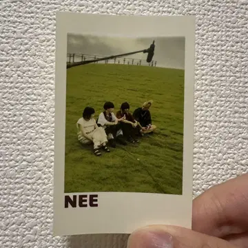 NEE 폴라로이드풍 스티커