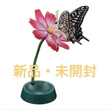 생물대도감 어드밴스 호랑나비 나미아게하
