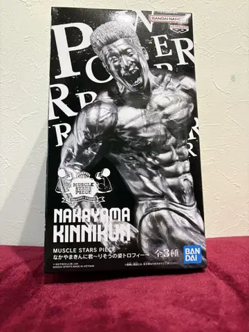 나카야마킨니군 이상적인 모습 트로피 은색