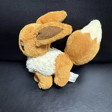 포켓몬 센터 포켓몬 캔버스 이브이 봉제 인형