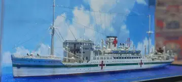 병원선 히카와마루 1/700