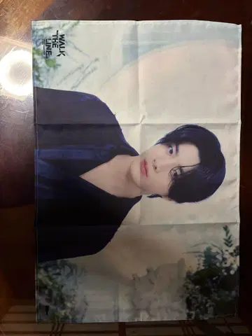 WALK THE LINE IN JP -FABRIC POSTER