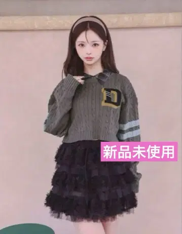 Darich 다리치 칼리지 와펜 숏 니트탑