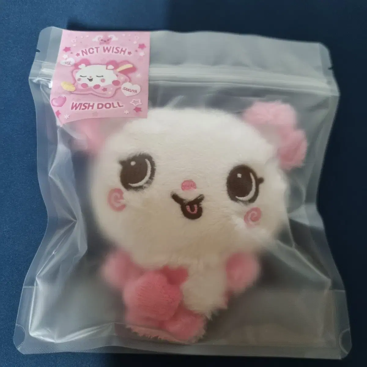NCT | 엔시티 Nct Wish Wishdoll Sakuya Bag Pangyi Bag on