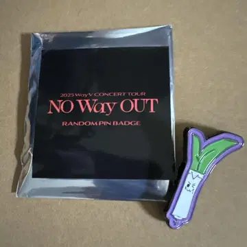 WayV ON Way OUT 굿즈 핀 배지 네기 텐
