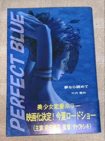 PERFECT BLUE 꿈이라면 깨어나줘 다케우치 요시카즈 초판