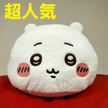 초인기 파격! 치이카와 프리미엄 돔 쿠션