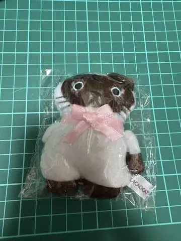 [샴] CACAOCAT 카카오캣 보들보들 봉제 인형 시프라 한정판