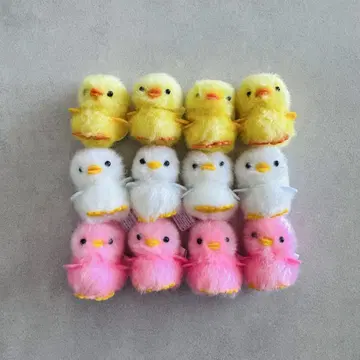 병아리 덕분 삐요리나 노멀 병아리 12개
